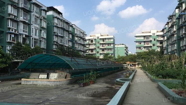 恋日家园E区外景图