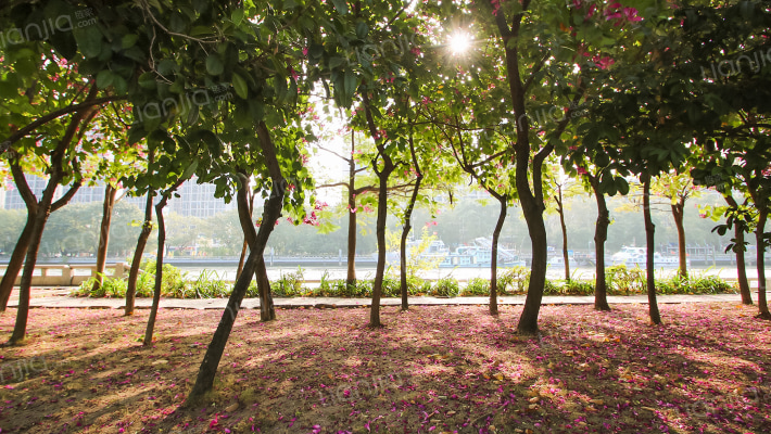 博达外滩外景图