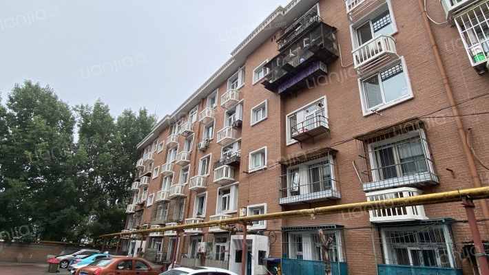 柳林东里外景图