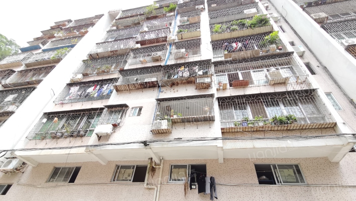 竹树新村外景图