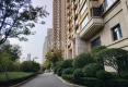 兴业银河华府(泰安路)户型图实景图