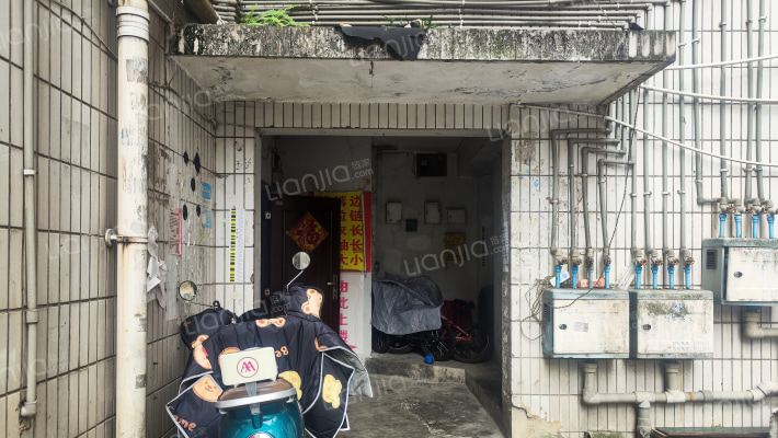 浦江路金碧房开外景图