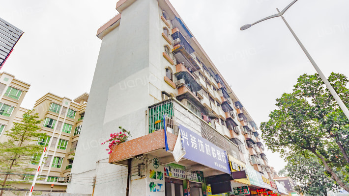 张家边乐昌楼外景图