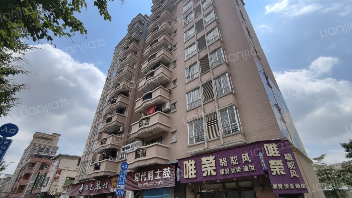 湖興花園外景图