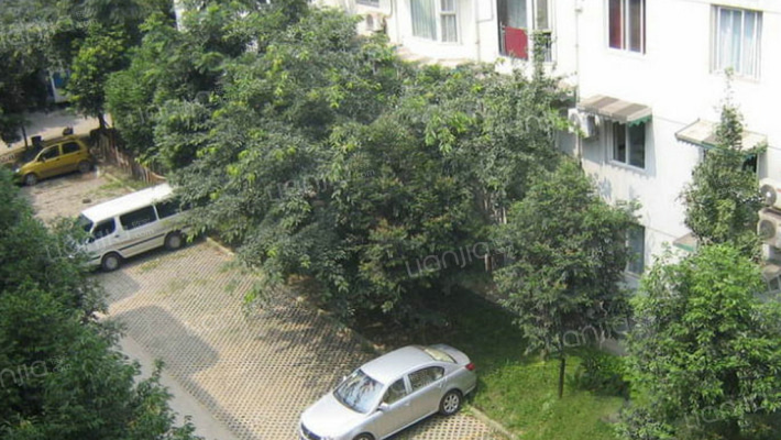 金沙上城外景图