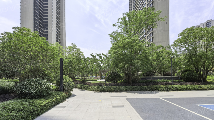 大华锦绣和樾外景图