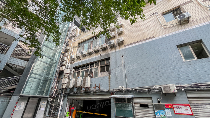 金和丽景B区外景图