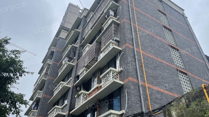 槐树街32号外景图