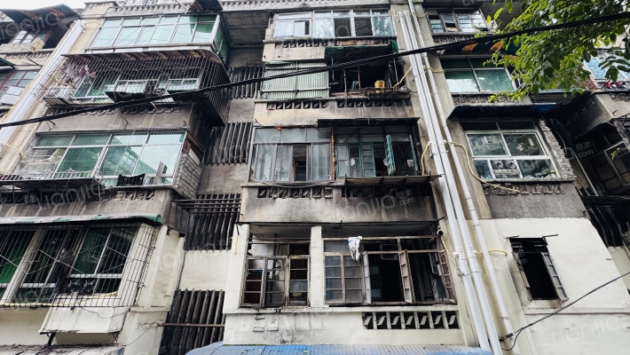 红育坡61号外景图