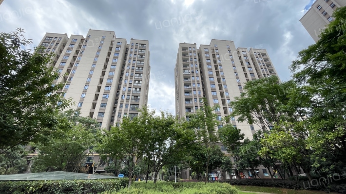 金广星苑外景图