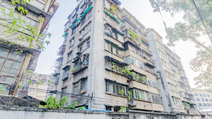 新光厂宿舍外景图