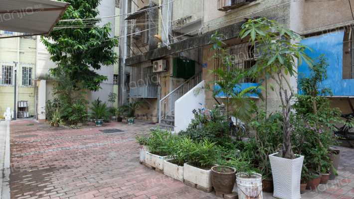 厦门市市直机关宿舍区外景图