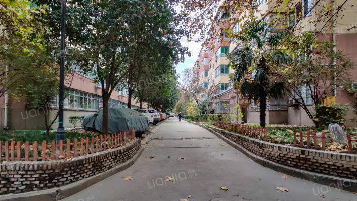 纺医小区外景图