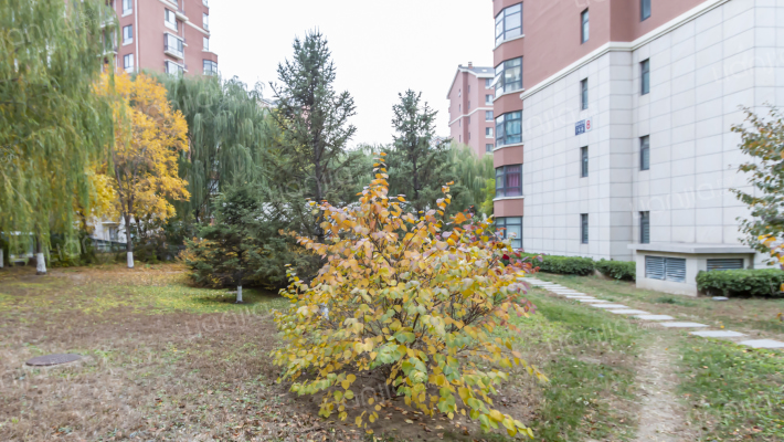 翠林漫步外景图