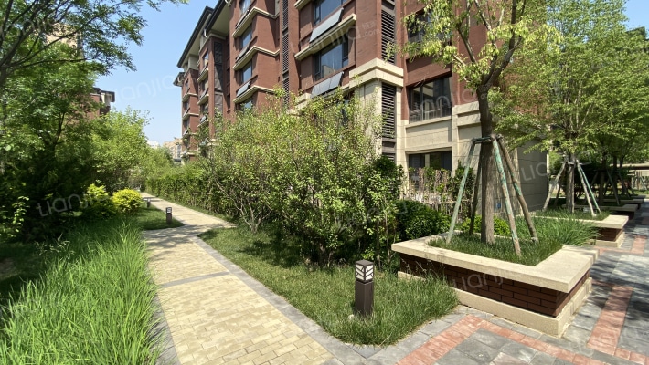 泰达印象外景图