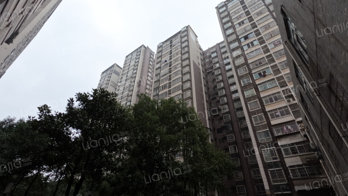 未来蜂巢外景图