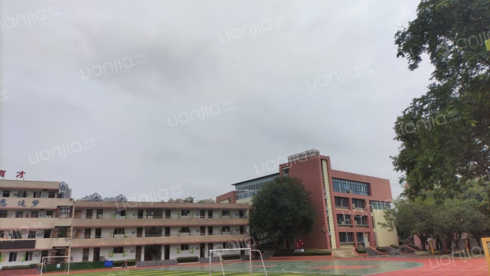 西河小学外景图