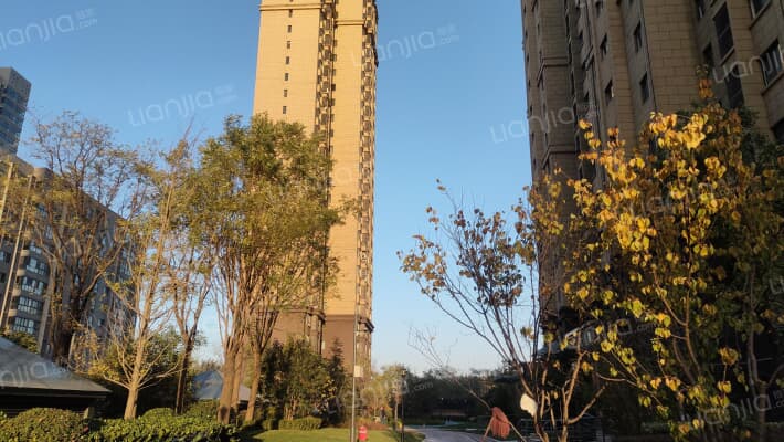 金泰经开花城外景图