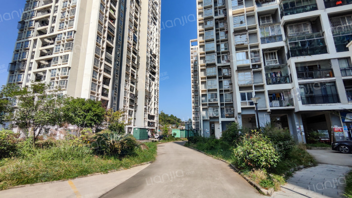 贵大附中安置房外景图