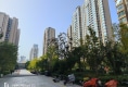 壹号学府户型图实景图