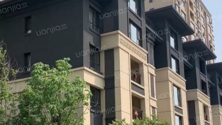 中金荷悦外景图