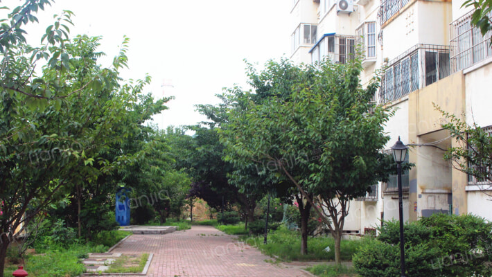 金港花园外景图