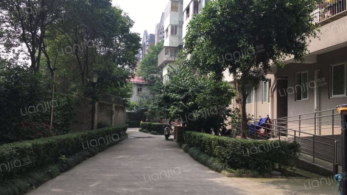 民乐园288号外景图