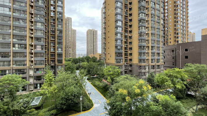 时丰姜溪花都名都区外景图