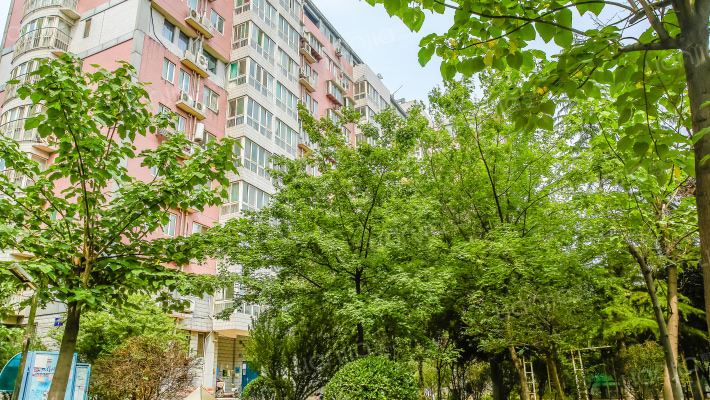 艾菲尔花园外景图