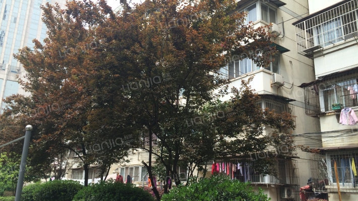 姚家岭29栋外景图