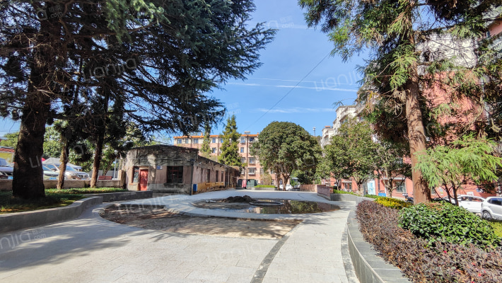 清溪路九八五五厂家属院外景图