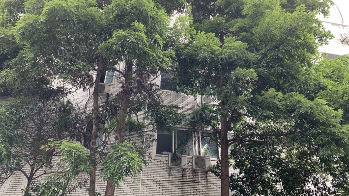 祥和巷6号外景图