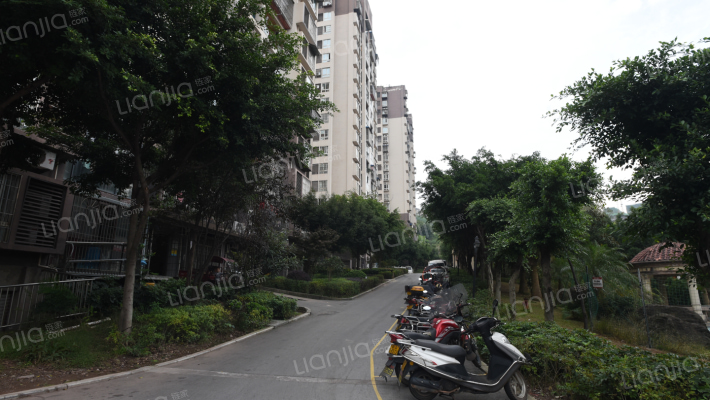 金山美林外景图