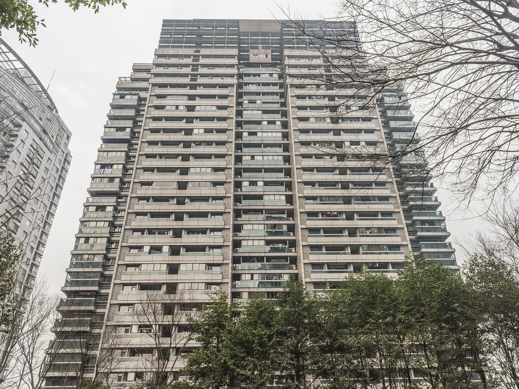 Jindu Matrix compound photo 14