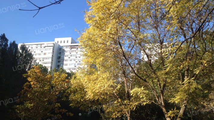 南三环东路外景图