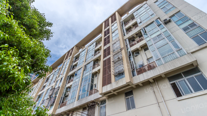 渭塘之星外景图