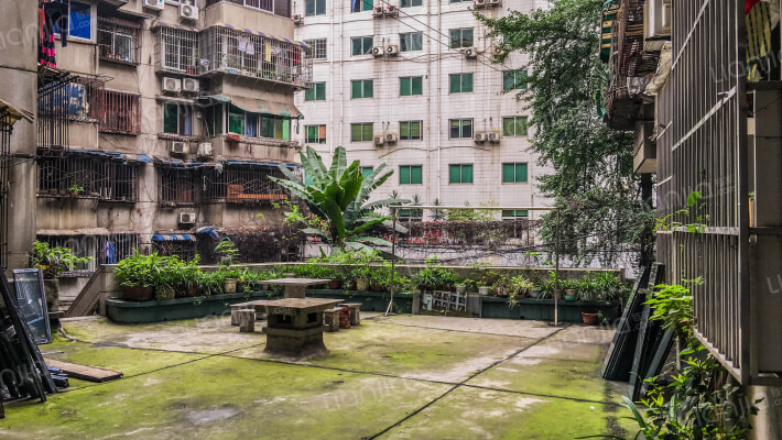 东城根下街24号外景图