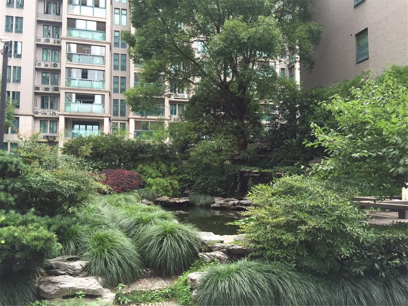 浅水湾城市花园小区实景 46