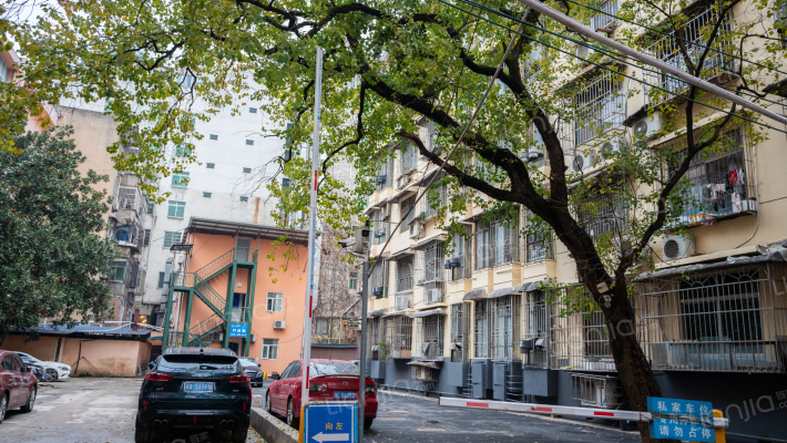 教育局宿舍外景图