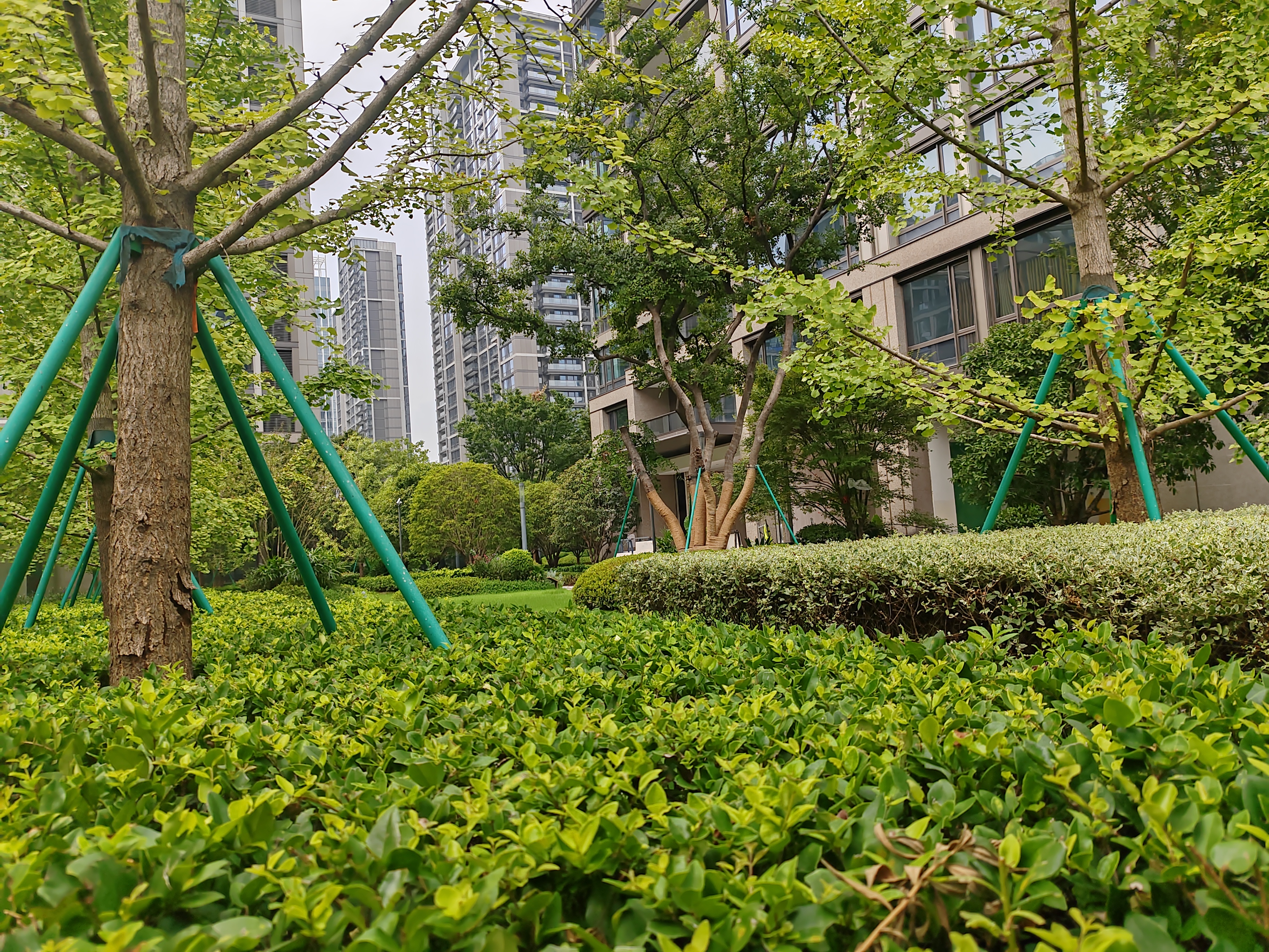 华润置地亚奥城南区小区实景 4