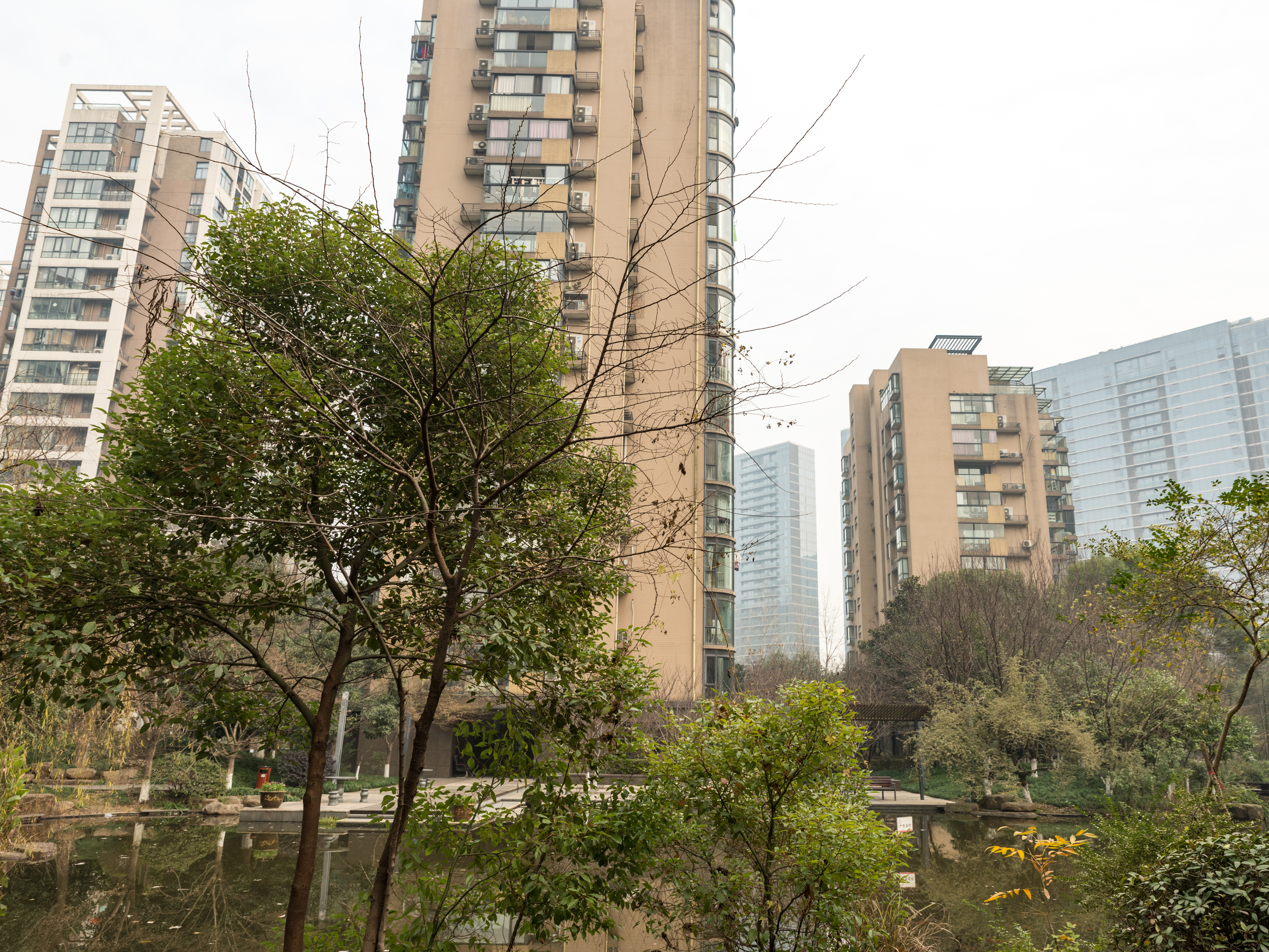 Linfeng Garden compound photo 10