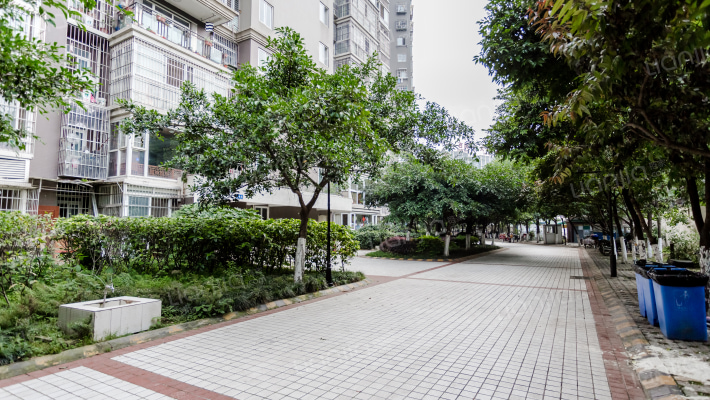 映日荷花外景图