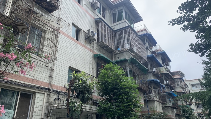 银杏春天A段外景图