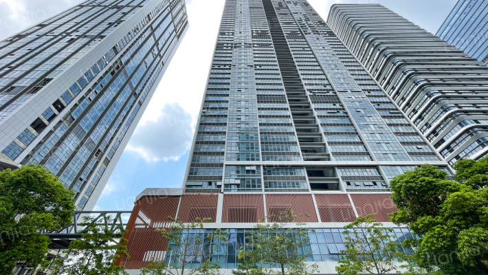 保利和光尘樾外景图