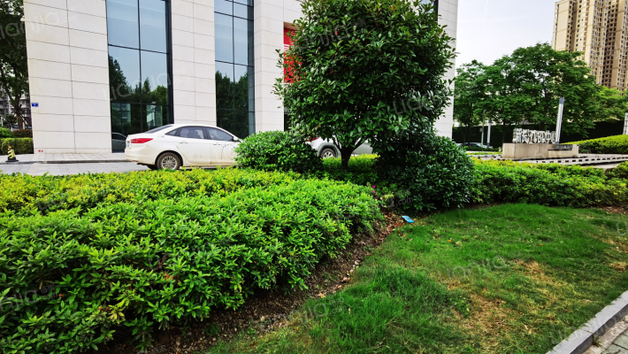 新长江CBD中心外景图