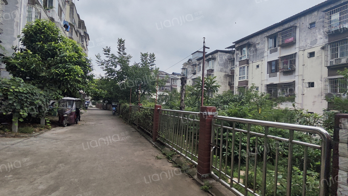 森林小区外景图