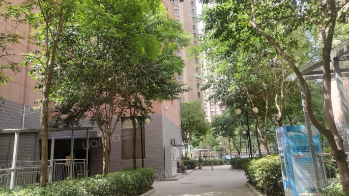 凤城三号外景图