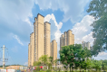 美的雪峰山壹号户型图实景图