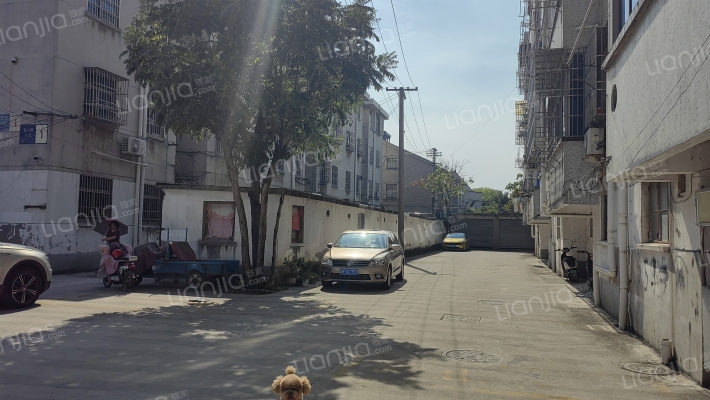 莺湖路56号外景图