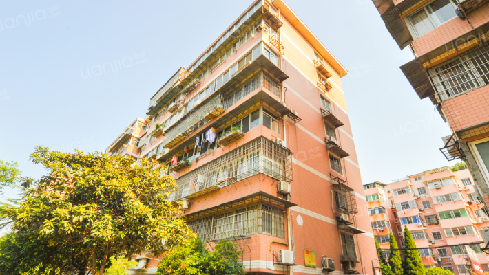 中国人寿宿舍外景图